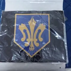 Item thumbnail for item 6eed7f94-d602-4af2-9364-ce28d526572d