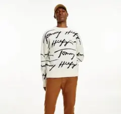 TOMMY HILFIGER シグネチャーセーター サイズM