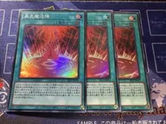 暴走魔法陣 スーパーレア 3枚セット - メルカリ