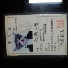 Item thumbnail for item 65446717-b696-46f7-90fc-7724e0c54aec