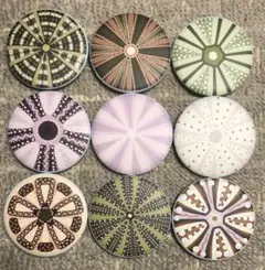 Item thumbnail for item 365bfbc0-4d80-43ab-a469-24a5a14ef2bd