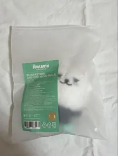 TXT プルバトゥ ヨンモン PLUSH KEYRING