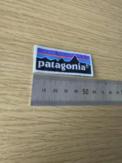 2026年最新】patagonia ワッペンの人気アイテム - メルカリ