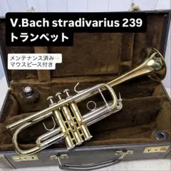 Item thumbnail for item eb0aaed3-4dab-4d26-9567-2eb787a3602b