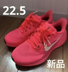 Nike Air Zoom Pegasus 41 5.5 ピンク　22.5cm