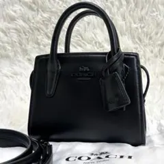 極美品★COACH　2way ショルダーバッグ　アンドレアキャリーオール　ミニ