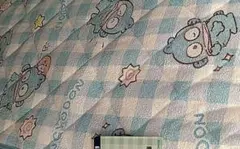 ‼️早い者勝ち‼️新品未使用　ハンギョドン　シングル　敷きパッド　タオル素材