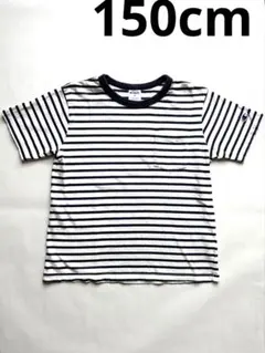 Champion チャンピオンストライプ Tシャツ 150白✖️紺ネイビーボーダーのサムネイル