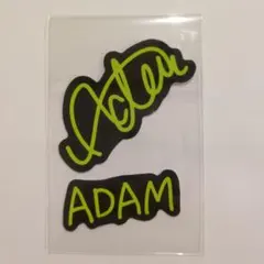 THE LAST PIECE　ADAM ステッカー 2枚セット　STARGROW