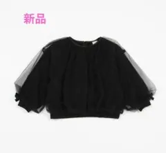 Item thumbnail for item 15dd82b8-fedc-4a2b-a708-fc8c9d1bdf06