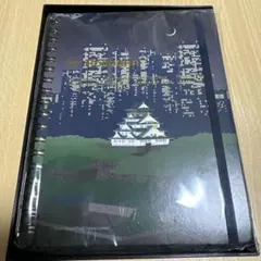 Item thumbnail for item 3ec65510-8b68-4e2f-bf82-8e67bf0253fc