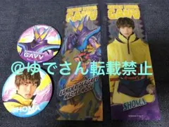 仮面ライダーガヴ　缶バッジ＋クリアしおりセットA　ガヴ　ショウマ　知念英和