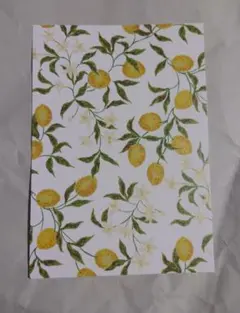 KEITA MARUYAMA　ケイタマルヤマ　ポストカード　レモン　うたプリ