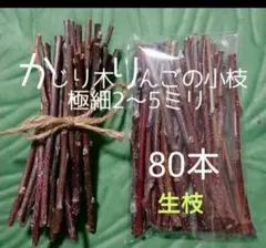 Item thumbnail for item 49b44879-feff-4a88-a2a1-532a60e97010