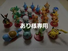 あり様専用　ポカブ、ヒトカゲ、ゼニガメ