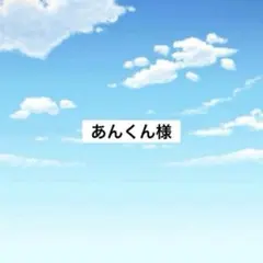 アメステ　あんくん様