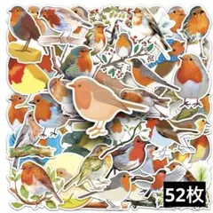 831　ステッカー　お裾分け　フレークシール　海外　防水　生き物　鳥　きれい