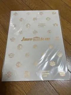 キンプリアイランド ジャニアイ 2019 パンフレット