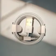 1本1m iPhone 充電器 ライトニングケーブル 純正品同等R  [5m5]