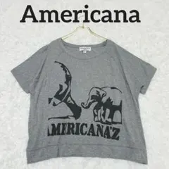 大きいサイズ アメリカーナ ワイド半袖Ｔシャツ F アニマル柄 グレー ゆったりのサムネイル