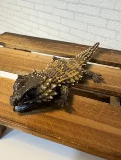 Item thumbnail for item 6a67b865-f74e-46bc-b77c-448134d7669f