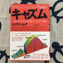 キャズム ハイテクをブレイクさせる「超」マーケティング理論