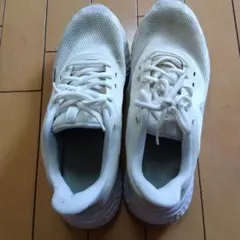 Item thumbnail for item cca0ff5d-9099-4e16-8d8e-7ea290d4e2aa