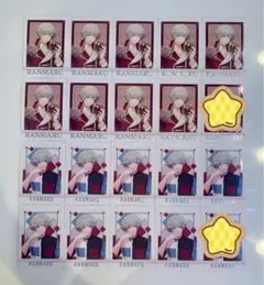 シャニスト ぱしゃこれ プレミアム 2017年 18枚セット 蘭丸