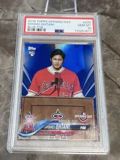 2026年最新】大谷 ルーキーカード psa10の人気アイテム - メルカリ