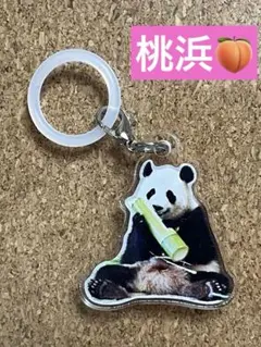 桃浜 マルチチャーム