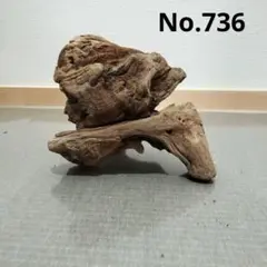 Item thumbnail for item 3c6aa7e7-db15-48fd-a28c-87a75b5c4cc4