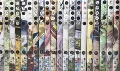 希少！全巻初版発行！！ ヒカルの碁 完全版 全巻 全20巻セット - メルカリ
