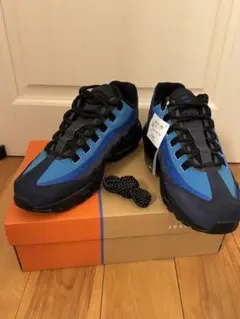 Stash×NikeAirMax95 Black and Harbor Blue
