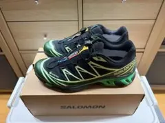 SALOMON XT-6 GTX BLACK EDEN GREEN ASHのサムネイル
