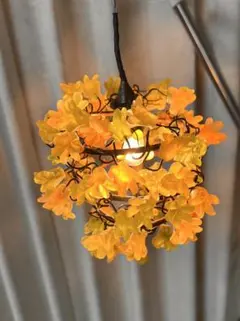 Item thumbnail for item f4c33fa4-8b25-4cf3-b9c8-e91d01fa750a