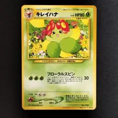 ドレディア プロモカード 062/BW-P ポケモンカード 未開封 最安値