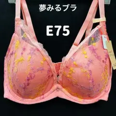E75 トリンプ　夢みるブラ #2のサムネイル