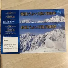 那須どうぶつ王国 ご招待券 2枚セット　期限2026/7/30のサムネイル