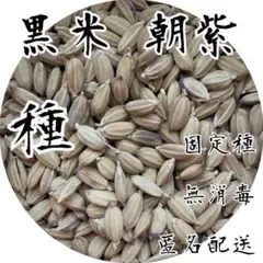 桜farm様 リクエスト 5点 まとめ商品