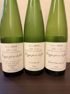 2026年最新】ソガペール ヌメロシスの人気アイテム - メルカリ