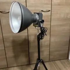 Item thumbnail for item 3081fb39-ab59-4005-9096-8761a04a2083