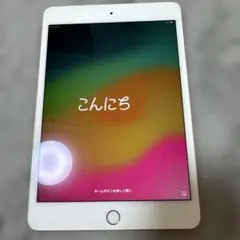 iPad mini 5 64GB Wi-Fi+Cellular 箱あり 美品