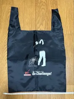 ANAキャンペーン 石川遼 コラボ クリアファイル 2種セット A4サイズ