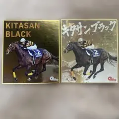 新作】名馬全史色紙コレクション Vol.5 クロワデュノール 北村 友一