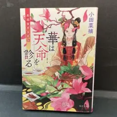 Item thumbnail for item e7d04c0c-fde3-45fd-ba34-3d337fbb7d55