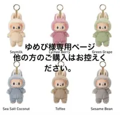 ゆめぴ様専用ページ5体セット