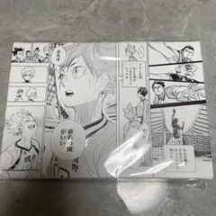 ハイキュー 日向翔陽 アートボード ハイキュー!! 日向翔陽 アートボード - メルカリ