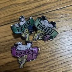 阪神タイガース 2026 シークレットピンズ 3種セット - メルカリ