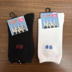 新しい学校のリーダーズ　公式青春に栄光を 女子用白ソックス　靴下 レア Amazon | 【公式グッズ】新しい学校のリーダーズ 青春日本代表靴下（白