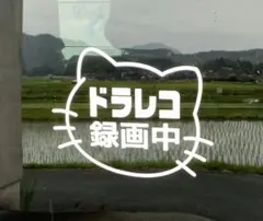 Item thumbnail for item e02cc613-a7bf-4317-8e11-ab39836a5501